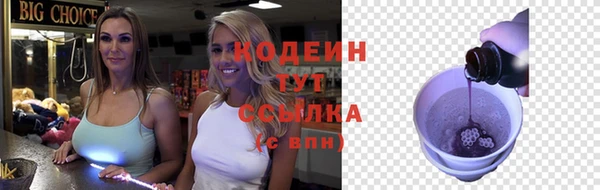 стафф Бородино