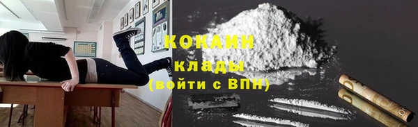 стафф Бородино