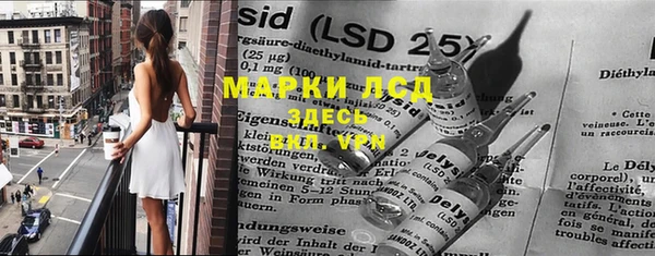 стафф Бородино
