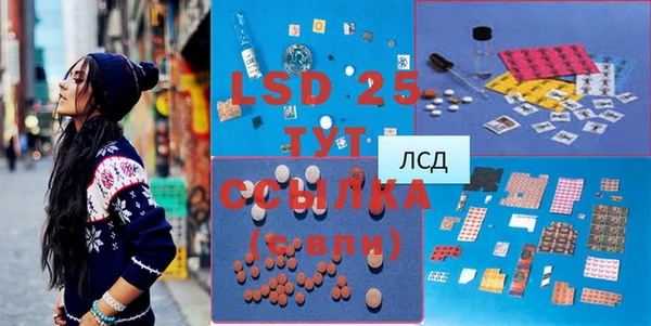 стафф Бородино