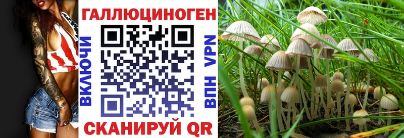 Псилоцибиновые грибы ЛСД  Саратов 